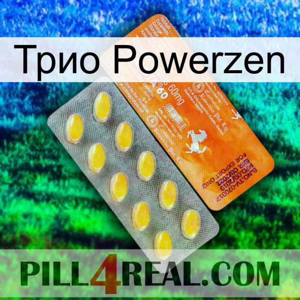 Трио Powerzen new05.jpg